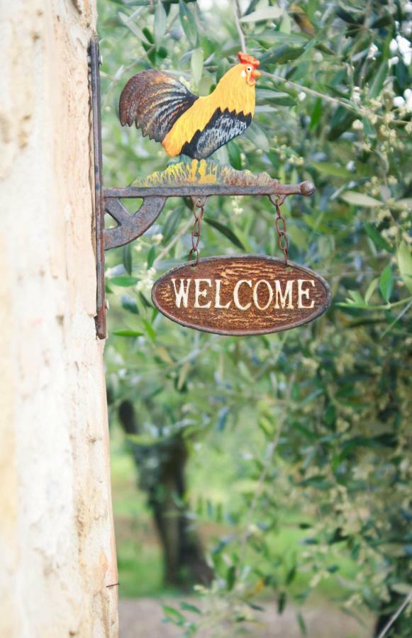 Casa Vacanze L'Oliveta Siena Ngoại thất bức ảnh